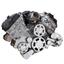CVF Racing Serpentine System for Ford Coyote 5.0 - Alternator - All Inclusive