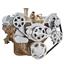 Serpentine System for Oldsmobile 350-455 - AC, Power Steering & Alternator - All Inclusive