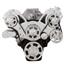 Serpentine System for 396, 427 & 454 - Power Steering & Alternator - All Inclusive