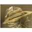 Amana Maytag Microwave R0000265 Door Handle (bisque)  NEW IN BOX