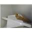 MAYTAG WHIRLPOOL REFRIGERATOR 67001215 DOOR HANDLE NEW