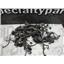 2001 HONDA GOLDWING GL1800 FRAME ENGINE1800 WIRE HARNESS 3210AMCA9 OEM