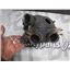 2006 KAWASAKI VULCAN VN1600 1600 OEM MUFFLER EXHAUST CAN BOX GOOD SHAPE