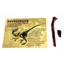 Dromaeosaur Dinosaur Tooth Fossil  100 MYO w/color card Lot of 2 E237