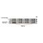 ORACLE SUN X5-2L 2U Server 2× Xeon E5-2630V3 2.4GHz  32GB RAM  12×3.5" HDD Bays