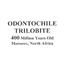 Odontochile Trilobite Fossil Morocco 16809