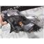 2011 2012 FORD F150 XLT LARIAT OEM DRIVERS SIDE HEAD LIGHT SIGNAL