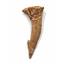 Onchopristis Sawfish Vertebra & Tooth Fossil 16852