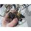 2004 2005 CHEVROLET 6.6 LLY DIESEL ALLISON 4X4 TRANSFER CASE WIRING HARNESS