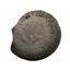 Dactylioceras Ammonite Fossil (Lot of 4) Jurassic England 16967