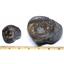 Dactylioceras Ammonite Fossil (Lot of 4) Jurassic England 16970