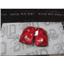 2005 - 2007 DODGE DAKOTA SLT TAIL LIGHTS SET OEM SIGNAL BRAKE BACKUP