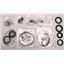 K9800PCWO - BJFA MJFA PSFA, REBUILD OVERHAUL BANNER KIT, 2009-14 - FITS HONDA