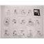 K9800PCWO - BJFA MJFA PSFA, REBUILD OVERHAUL BANNER KIT, 2009-14 - FITS HONDA