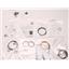 KP59900G - AXODE AX4S, REBUILD OVERHAUL KIT, WITH PISTONS, 1999-2003 - FITS FORD