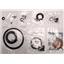 KP59900R - AX4N, REBUILD OVERHAUL KIT, WITH PISTONS, 1994-99 - FITS FORD