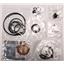 KP59900RX - AX4N, REBUILD OVERHAUL KIT, WITHOUT PISTONS, 1994-99 - FITS FORD