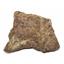 Chondrite Moroccan Stony Meteorite Genuine 277.8 grams 17129