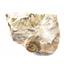 Perisphinctes Ammonite Fossil Jurassic- Bavaria, West Germany 17162