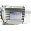 Edwards E2M30 Dual Stage  3 Phase Rotary Vane Mechanical Vacuum Pump