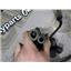 2002 2003 2004 HONDA GOLDWING 1800 CC OEM SPARK PLUG WIRE FACTORY SET