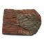 CRINOID Fossil Scyphocrinites Elegans Morocco 420 Million Years Old #17497