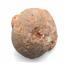 Hadrosaur Genuine Dinosaur Egg Fossil #17605