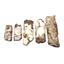 Lot of 5 Baculite Fossils Montana 75 Million Years Old #17614