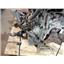 2008 MAZDA 3 SEDAN 2.0 L 4CYL ENGINE MANUAL 5-SP TRANSMISSION VIN (F) 68K MILES