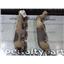 2000 2001 FORD F250 F350 XLT 7.3 DIESEL ENGINE EXHAUST MANIFOLDS (PAIR) OEM