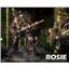 Gaming Heads Bioshock Big Daddie & Rosie Statue REGULAR Sealed Box