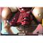 First4Figures Metroid Prime: Samus Varia Suit Regular Statue REPLACEMENT COPY!!