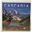 Cascadia + Kickstarter Promo Cards by Flatout Games / AEG SEALED