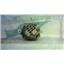 Boaters' Resale Shop of TX 2403 0777.05 WESTERBEKE W10 ALTERNATOR