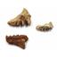 Lungfish Ceratodus Tooth Plate Fossil Lot of 3 LDB 110 MYO #18166