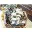 2008 2009 2010 FORD F350 F450 6.4 DIESEL ENGINE NAVISTAR REMANUFACTURED 139 MILE