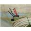 Boaters' Resale Shop of TX 2406 2144.04 RAYMARINE 25M (80') ANALOG RADAR CABLE