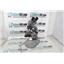 Olympus Tokyo Japan Grey Binocular Illuminated Microscope w/ 4 Objectives