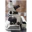 Olympus Binocular Microscope Model BH-2 w/3 objectives