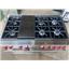 Wolf 48" Dual Fuel Range
