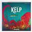 Wonderbow Kelp: Shark vs Octopus DELUXE Edition - SEALED