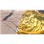 Boaters’ Resale Shop of TX 2411 1427.12 FIORENTINO 18' PARA-ANCHOR SYSTEM FPA-18