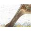 Boaters' Resale Shop of TX 2501 0254.18 YACHT SPECIALTIES 10" QUADRANT 501-10