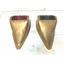 Boaters' Resale Shop of TX 2503 0557.01 KILBORN SAUER NAV LIGHT HOUSINGS ONLY