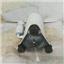 Boaters' Resale Shop of TX 2501 7721.32 WEBASTO AC COMPRESSOR QXA-C129xT030