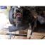 2010 FORD F150 5.4 LITRE ENGINE 130K MILES VIN ( V ) EXC RUNNER NO CORE CHARGE