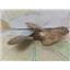Boaters' Resale Shop of TX 2504 2272.05 BAUMAN 3 BLADE 16RH16 PROP - 1.25" SHAFT