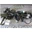 2003 2004 CHEVROLET 2500 6.6 LB7 DIESEL AUTO 4X INNER DASH WIRING HARNESS 217696