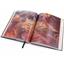 The Elder Scrolls: Betrayal of the Second Era Kickstarter ALL-IN! - SEALED