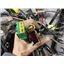 2010 2011 DODGE 3500 LARAMIE 6.7 DIESEL AUTO 4X4 CAB HARNESS ( BODY ) 68051991AC
